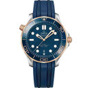 210.22.42.20.03.002