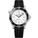 210.32.42.20.04.001